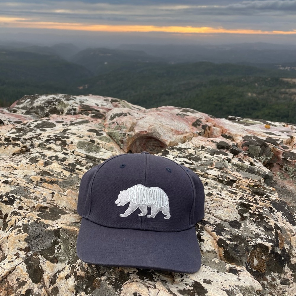 Patagonia snap back hat